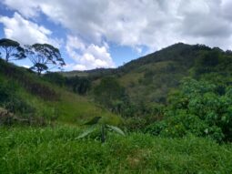 Terreno com viabilidade com 83.159,07 m2 no Bairro cachoeira em Biguaçu/SC//Opção Reserva Legal completo