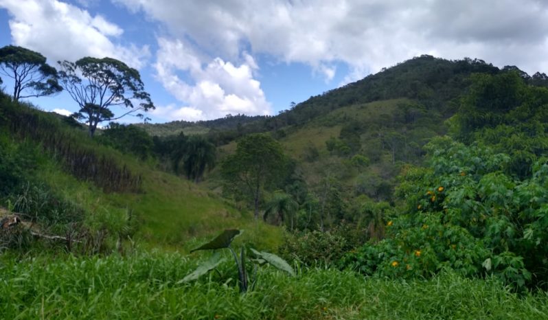 Terreno com viabilidade com 83.159,07 m2 no Bairro cachoeira em Biguaçu/SC//Opção Reserva Legal completo